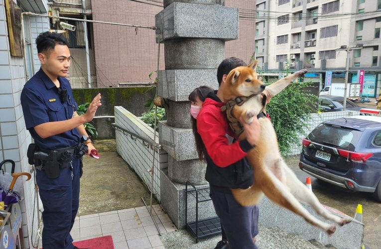 愛犬「momo」走失 警幫忙安置社群臉書PO文找到主人