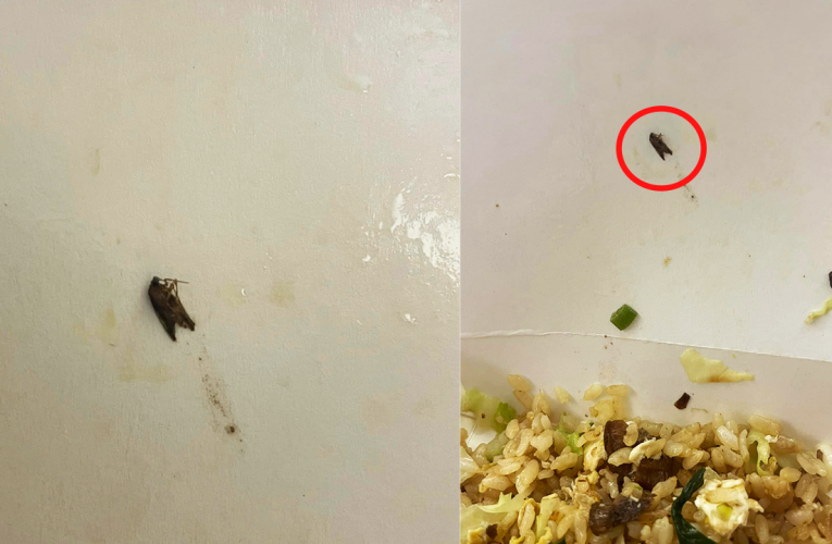 桃鶯路美X棧再爆蟑螂入餐！顧客痛批食安問題嚴重