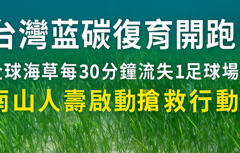 台灣藍碳復育開跑！全球海草每30分鐘流失1足球場，南山人壽啟動搶救行動