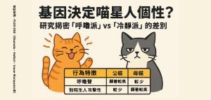 民眾新聞網 inews24