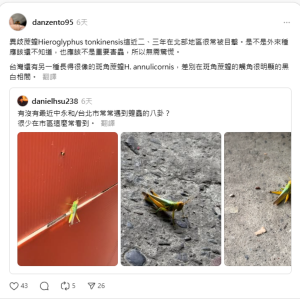 民眾新聞網 inews24