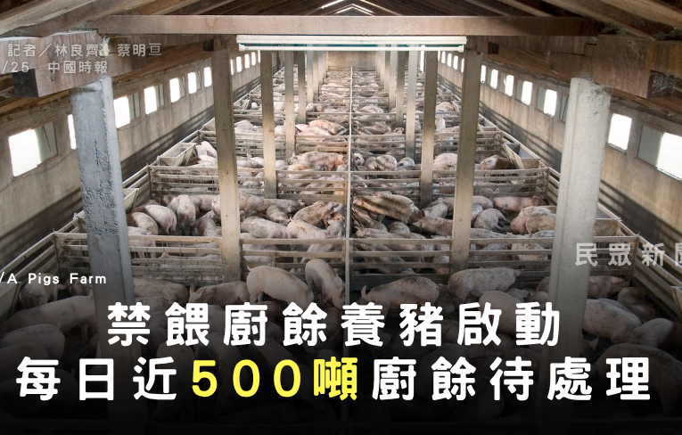 禁餵廚餘養豬啟動　每日近500噸廚餘待處理