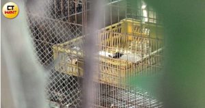民眾新聞網 inews24